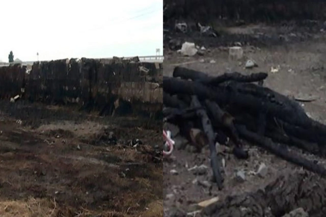 В Геранбойском районе загорелся хлев: погиб мелкий рогатый скот - ФОТО
